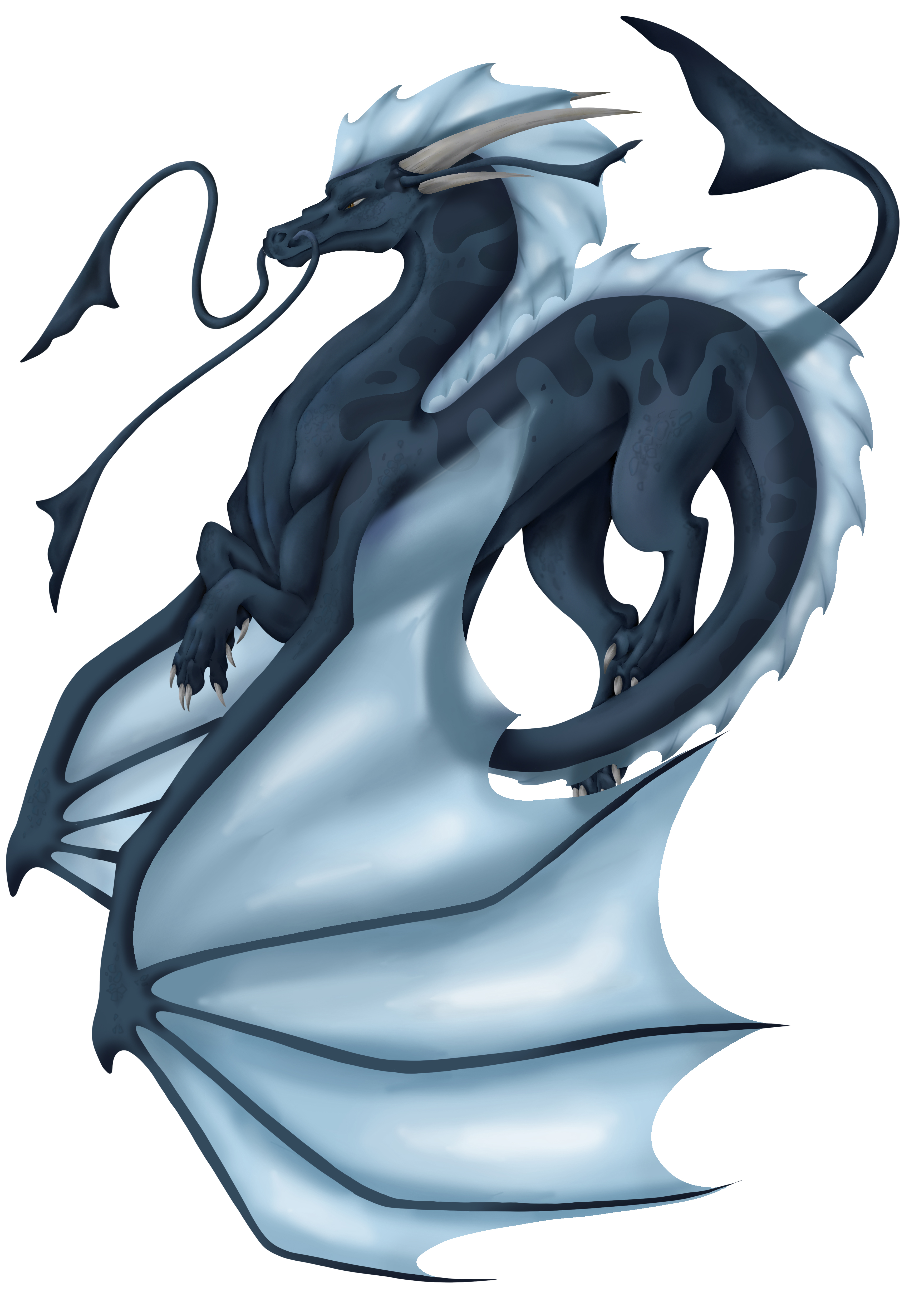 Drawing of a dark blue water dragon on a white background