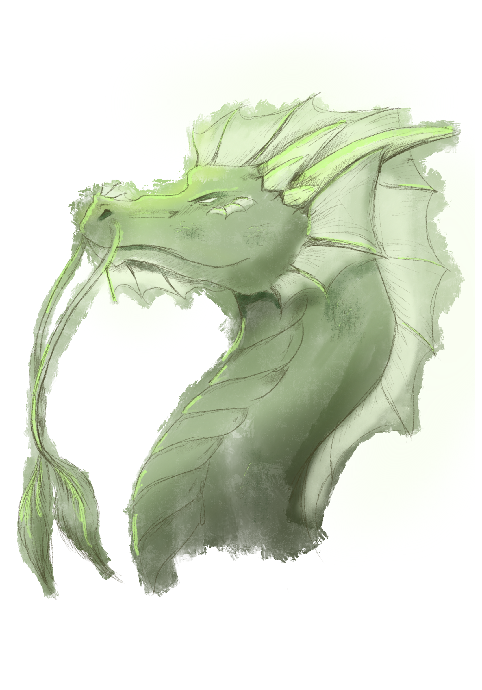 Drawing of a bust of a light green dragon