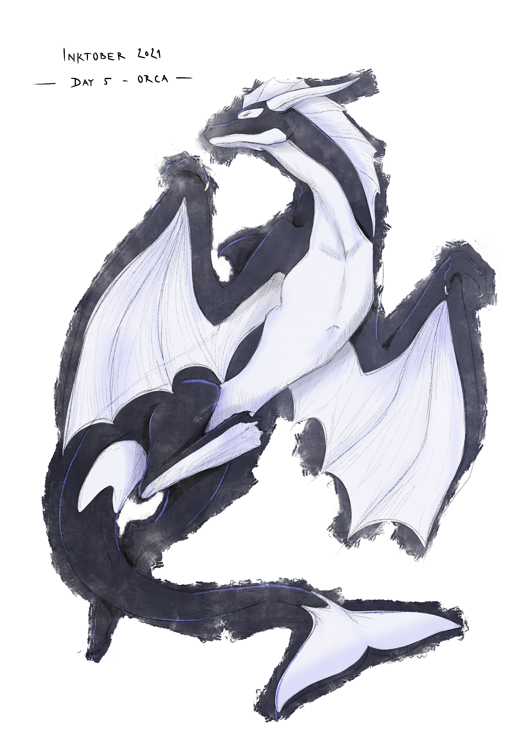 Drawing of a dragon inspired by orca